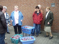IMGP4361