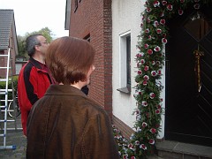 IMGP4391
