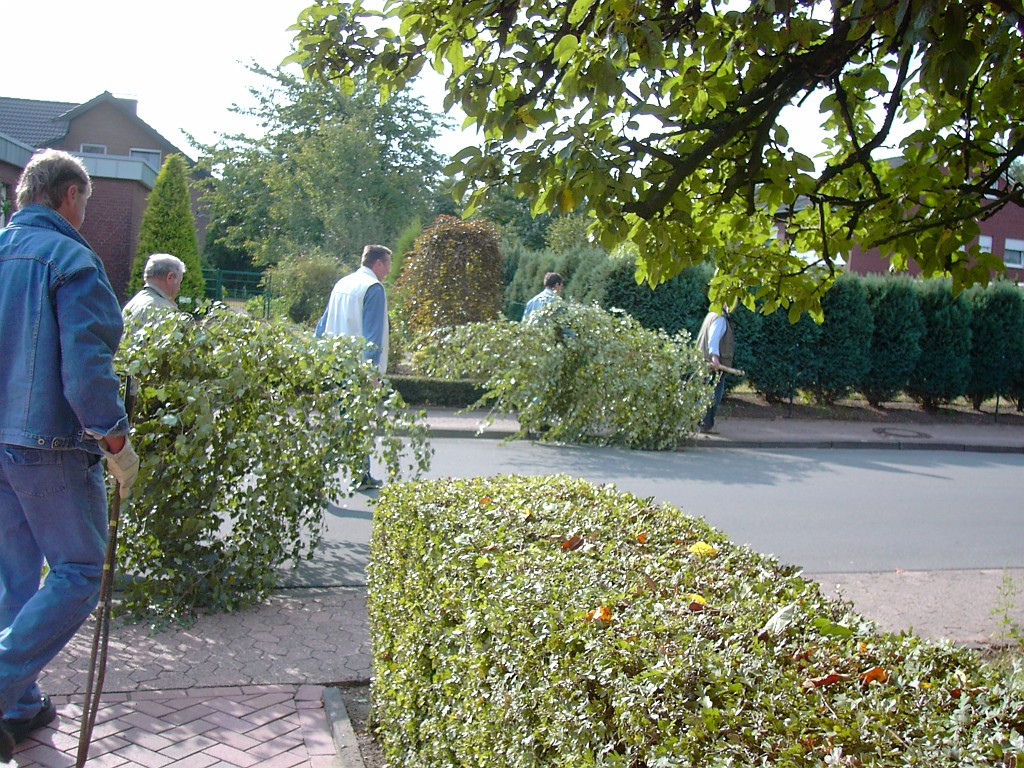 KIF_0609.JPG