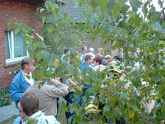 KIF_0653