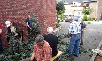 IMG 8568