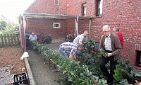 IMG 8579
