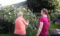 IMG 8582