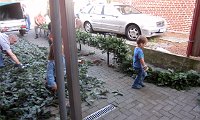 IMG 8589