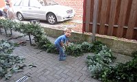 IMG 8590