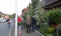IMG 8601