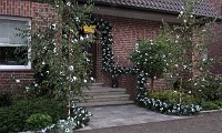 IMG 8641