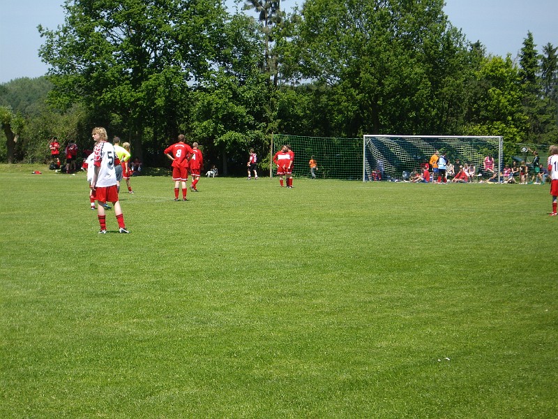 IMGP8931.JPG