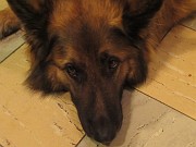 IMG_0814