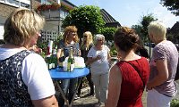 IMG 8655