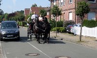 IMG 8694