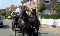 IMG 8695