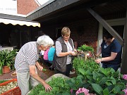 IMG_2170