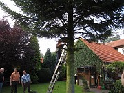 IMG_2196