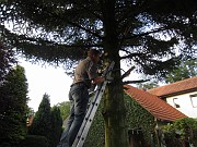 IMG_2199