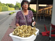 IMG_2233