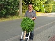 IMG_2237