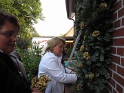 IMG_2243