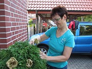 IMG_2258