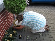 IMG_2260