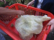 IMG_2270