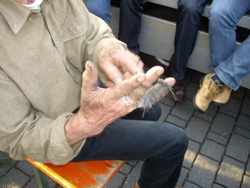 Click for original image