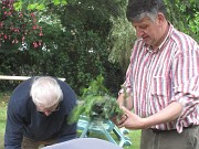 IMG_0965