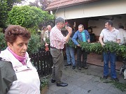 IMG_0970