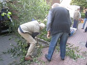 IMG_0986