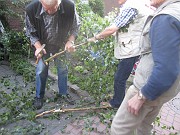 IMG_0987