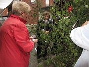 IMG_0990