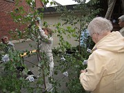 IMG_0991