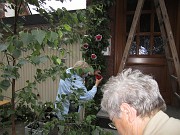 IMG_0993