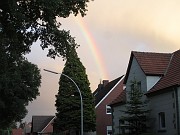 IMG_1009