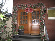 IMG_1011