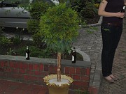 IMG_1677