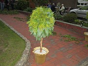 IMG_1678