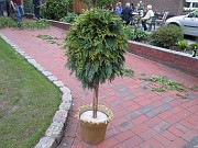 IMG_1679