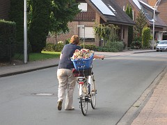 IMG_5487