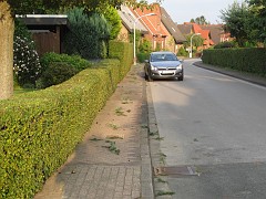 IMG_5505