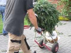 IMG_5509