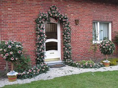 IMG_5531