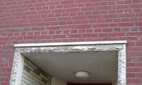 IMG 6661
