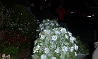P1020032
