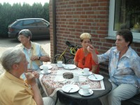 KIF_4856 