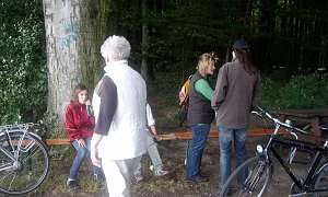 IMGP5374