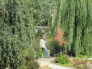 IMG_9288