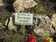 IMG_9289