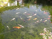 IMG_9290