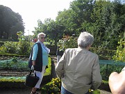 IMG_9295